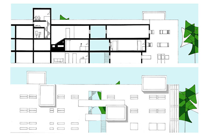 Section and Elevation