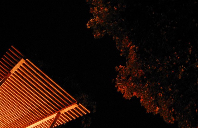 Treahouse, at night