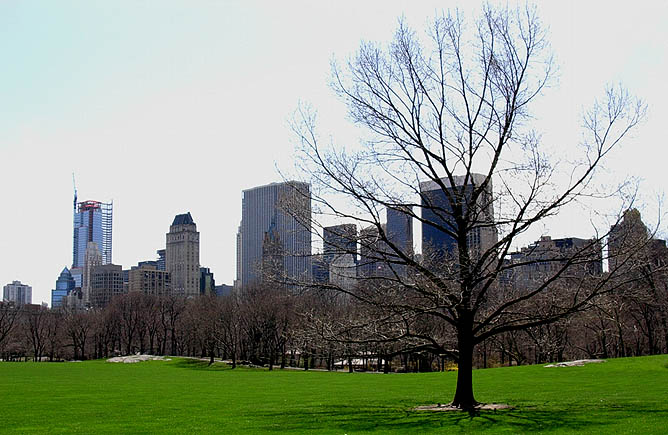 Central Park