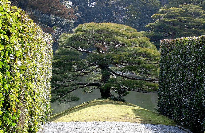 Katsura Rikyu, Kyoto