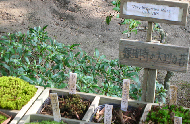 VIM, Ginkaku-ji, Kyoto