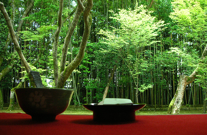 Tea ceremony, Koto-ji, Kyoto