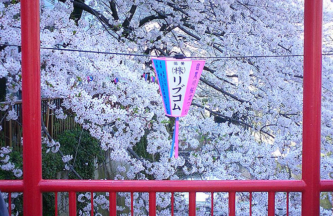 By the river, Meguro gawa