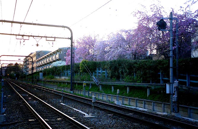 By the Train, Komaba