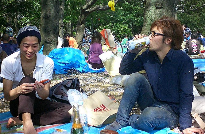 Masa and friend, Hanami in Yoyogi Koen