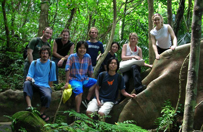 Roots, Iriomote