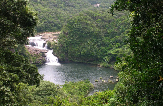 Group Photo, Iriomote