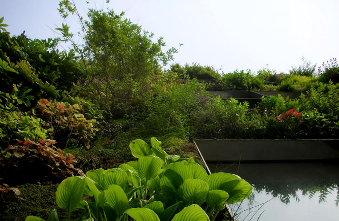 Quai Branly Museum, Jean Nouvel