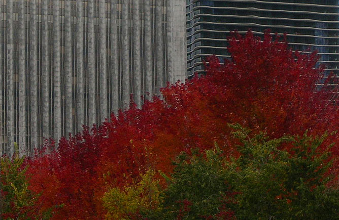 Downtown in Autumn colours