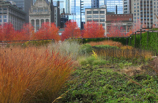 Millenium Park