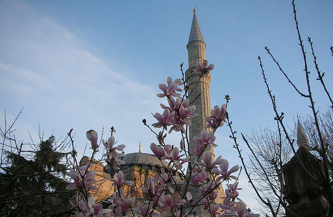 Hagia Sofia