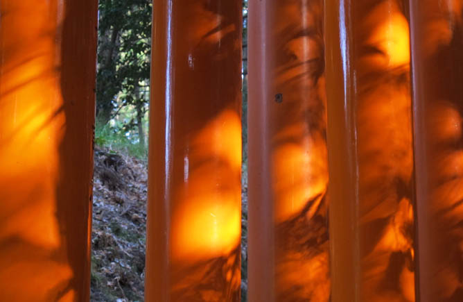 Fushimi Inari Taisha