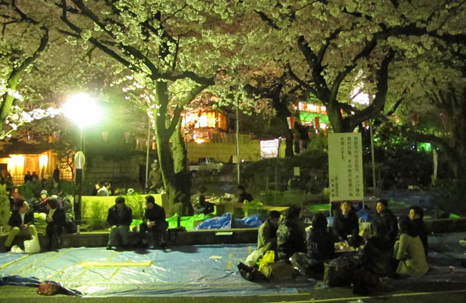 Hanami, Ueno Koen