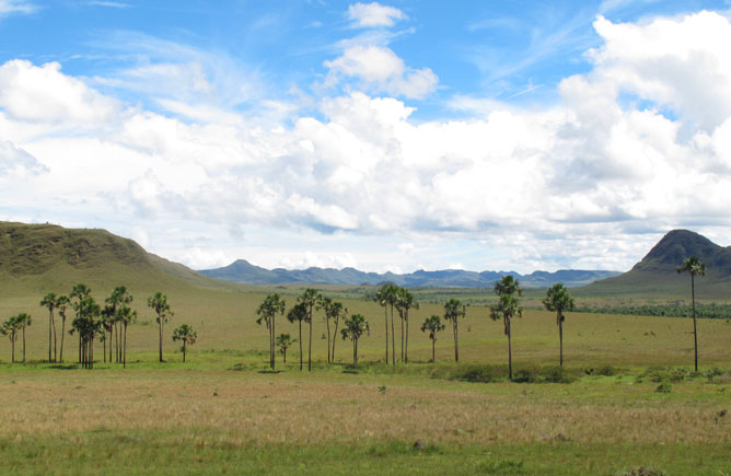 Cerrado, Chapada dos Veadeiros