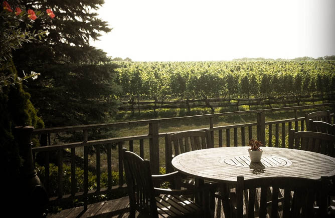 Winery, the Hamptons